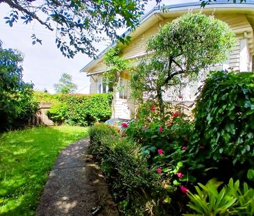 Spacious pet friendly remuera home. - Photo 5