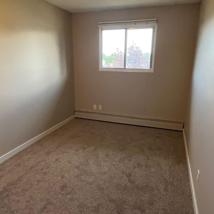 Spacious 2nd Floor 2 Bedroom Cat Friendly Suite in Clearview! - Photo 1