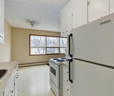 Renovated Suite - 1 Bedroom - Photo 4