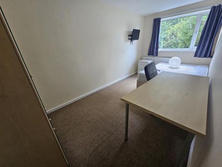 4 bedroom house to rent - Photo 4