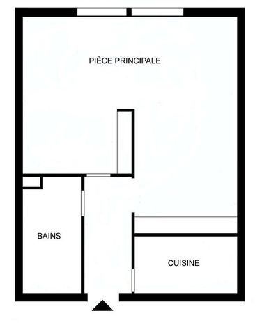 Rare au coeur des Eaux-Vives - côté cour - Photo 4