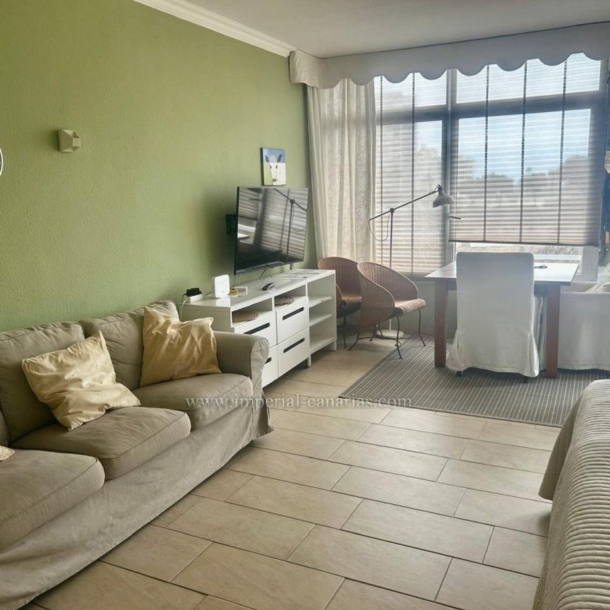 Se alquila estudio en primera línea de mar con piscina comunitaria - Foto 1