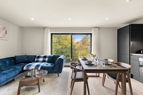 Horse Shoes Lane - Photo 1