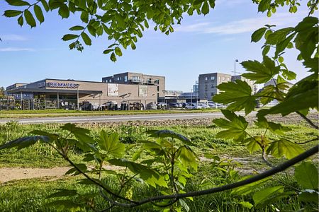 Moderne bofællesskab - for voksne uden hjemmeboende børn. - Foto 2