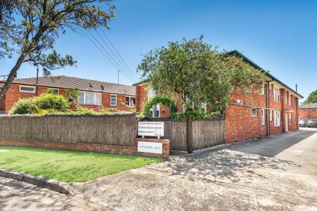 Sun Filled Ground Floor Unit - Photo 3