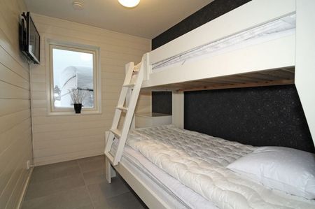 Wasavägen, Sälen - Photo 4