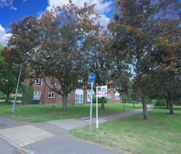 1 bedroom ground floor flat to rent - Photo 3