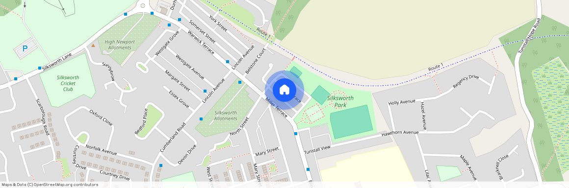 Wilson Terrace, Silksworth Sunderland