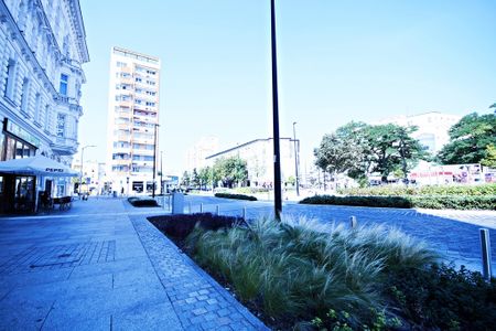 2-pokojowe mieszkanie w samym centrum Szczecina - Zdjęcie 5