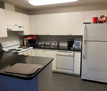 Student Apartment - London Ontario - Photo 2