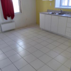 ROSEMONT: IMMENSE 4 ½ Rez-de-chaussée+ - Photo 3