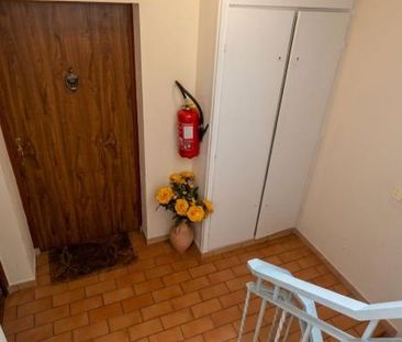 Location Appartement 1 pièce 29m² ANTONY 92160 - Photo 6