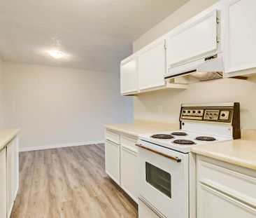 Classic Suite - 1 Bedroom - Photo 4