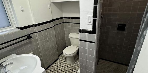 GHETTO MCGILL- STUDIO RENOVÉ & MEUBLÉ- EMPLACEMENT EXCEPTIONNEL - Photo 3