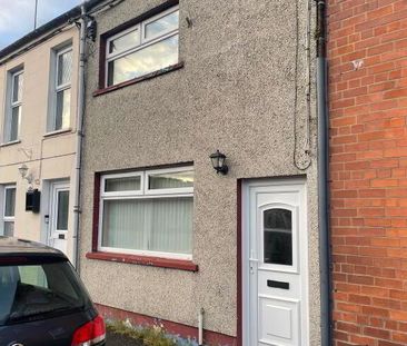 33 Antrim Road, Ballynahinch, BT24 8AN - Photo 4