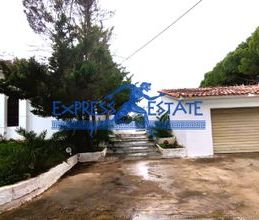 Μονοκατοικία για ενοικίαση - Μαραθώνας, - Photo 4