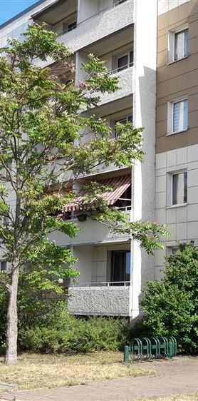 Drei Zimmer, Südbalkon, Dusche - Photo 1