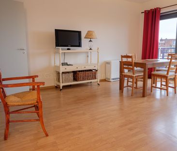 DIAMANT : Large 1 bedroom furnished apartment w/ parking - Photo 3