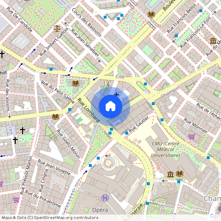 Rue Emile-Yung 10, 1205 Genève