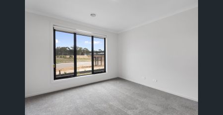 Modern Home Designed for Easy Family Living - Photo 5