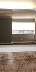 one bedroom apartment for rent in Dunbar area - Photo 4