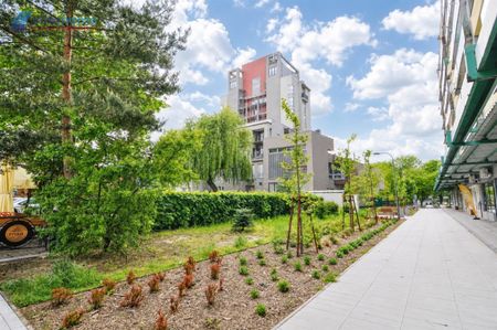 Tychy, D - Zdjęcie 4