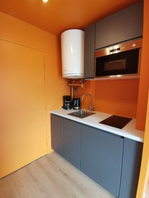 STUDIO MEUBLE ET RENOVE – PARKING – BALCON - Photo 1