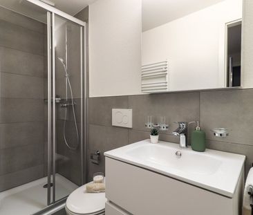 Above the rooftops of Basel at the Musical Theater - Foto 4