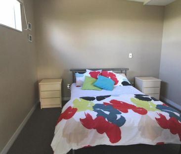 Family Fun on Corokia - Photo 3