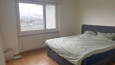 Für Katzenliebhaber in Zürich - Kreis 9 Altstetten, möbliert, auf Zeit - Photo 4