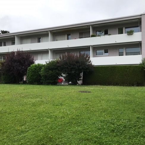 Appartement de 3 pièces dans la vallée de la Limmat, entre Baden et Zurich - Photo 1
