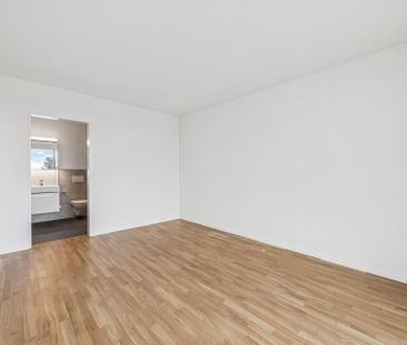 Neubauwohnung an traumhafter Lage direkt am Seeufer in Rapperswil-Jona - Foto 3