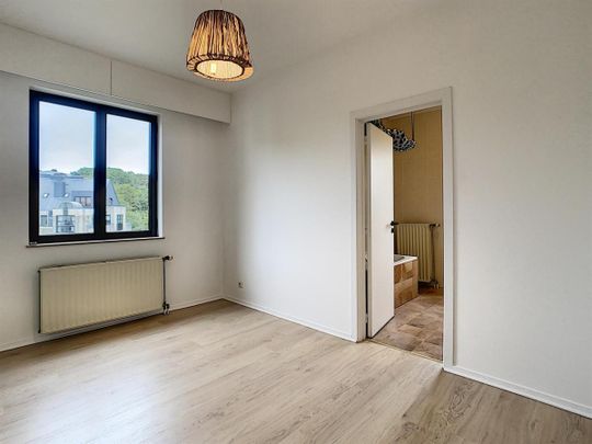 Parc Brugmman : Beautiful 3 bedroom apartment + terrace - Photo 1