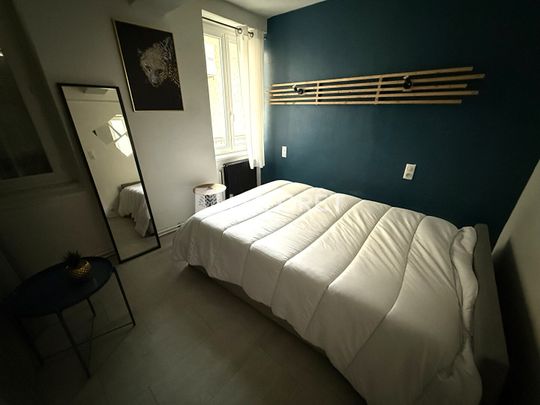 Appartement T3 Vienne à louer - Photo 1