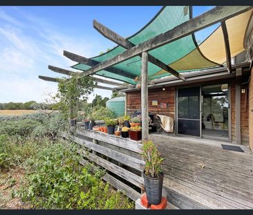 One-of-a-Kind Farming Lifestyle - Photo 6