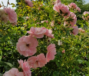 Västergöksvägen, Vällingby - Photo 2