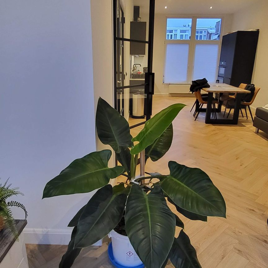 Appartement te huur: Anton de Haenstraat 106 2563 BV Den Haag - Photo 1