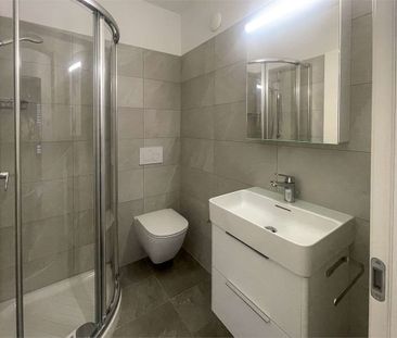 Elegant renovated 4.5-room apartment with a terrace in Breganzona - Photo 2