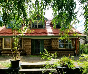 Unique Family Home with All Utilities Included - Photo 4