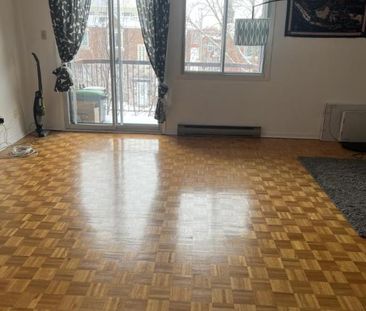 4 1/2 - Montréal (Hochelaga / Maisonneuve) - 1 725 $/mois - Photo 3