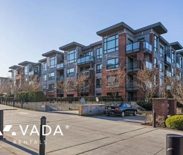 1 Bedroom Apartment For Rent in Burnaby - Photo 2