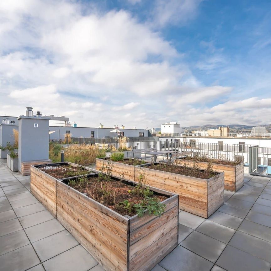 Ruhelage: 2-Zimmer Wohnung mit großem Balkon - Photo 1