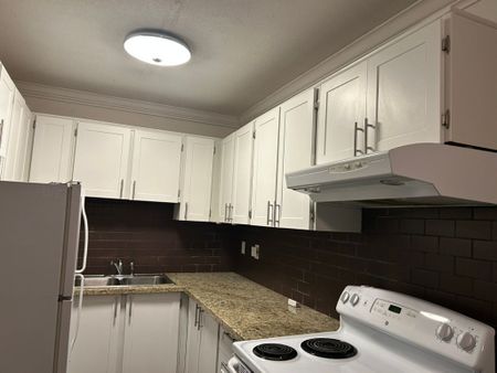 For Lease - 133 Dunn Avenue Unit# 202, Toronto, Ontario - Photo 4