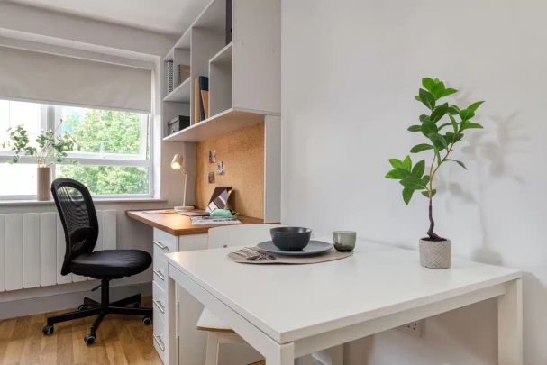 Premium Plus Studio - Photo 1