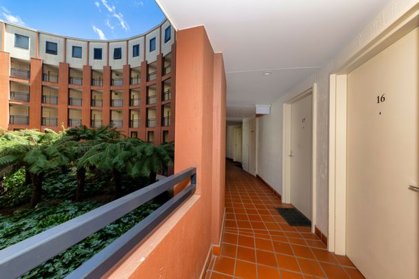 One Bedroom Apartment - In the Heart of the City! - Photo 1