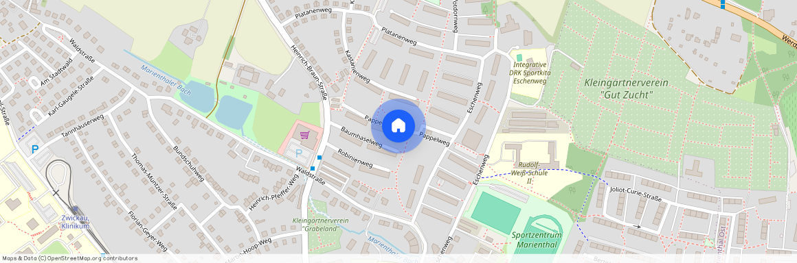 Pappelweg 7, Marienthal, 08060, Zwickau