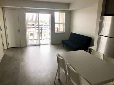 Furnished 2 bed/2 bath FREE Parking (PH21) - Photo 4