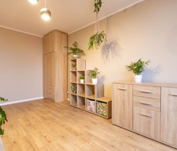 Do wynajęcia 3 pokoje w centrum Zielonej Góry! - Zdjęcie 5