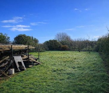 114 Glen Road, Comber, BT23 5QT - Photo 5