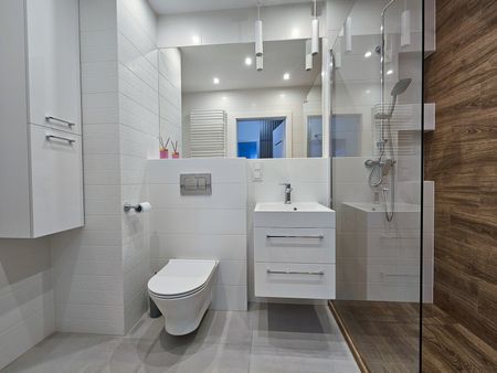 Wynajem mieszkania Poznań Zacisze Marcelin - Zdjęcie 5